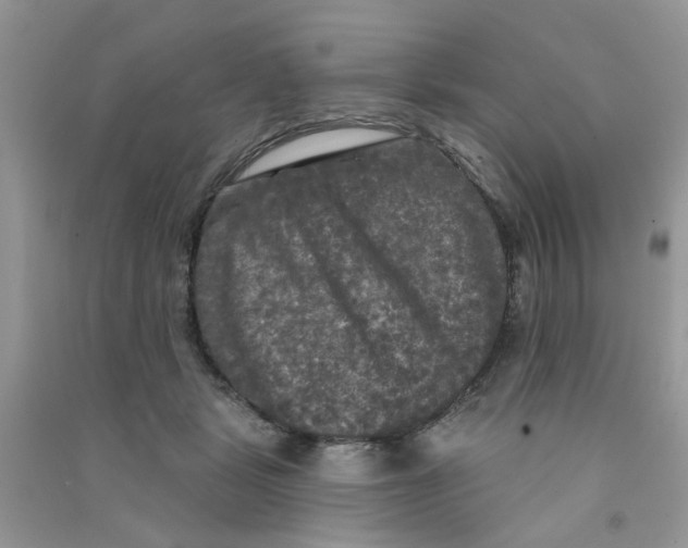 X0000090770461200708172111