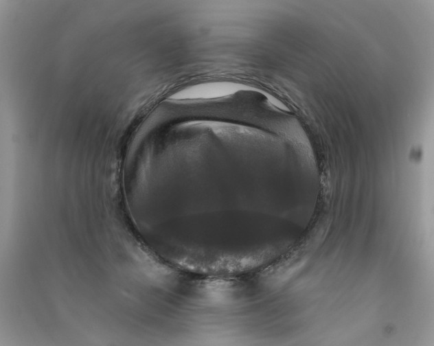 X0000090770462200708172111