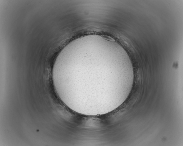 X0000090770463200708172111