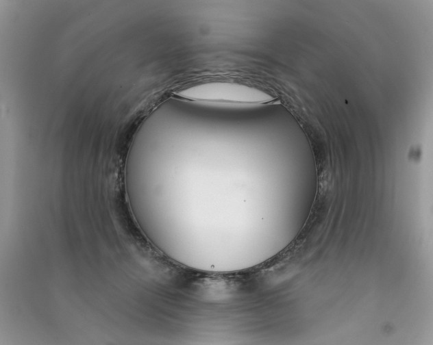 X0000090770464200708172111