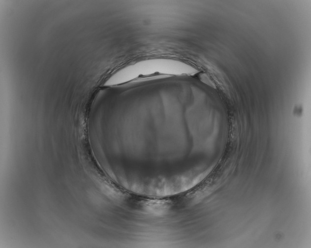 X0000090770465200708172111