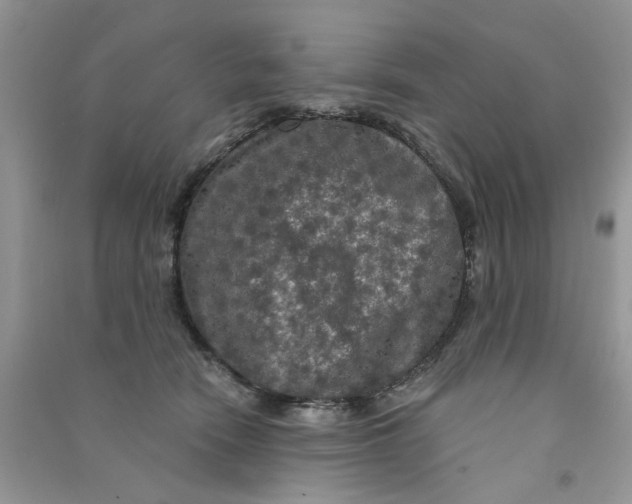 X0000090770466200708172111