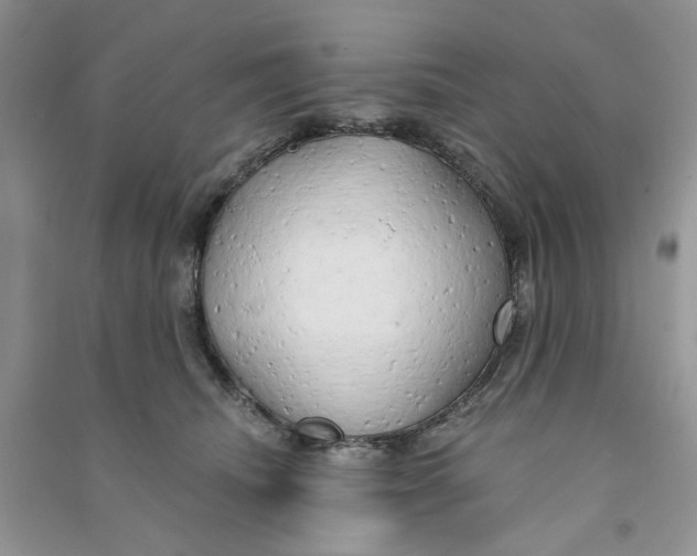 X0000090770468200708172111