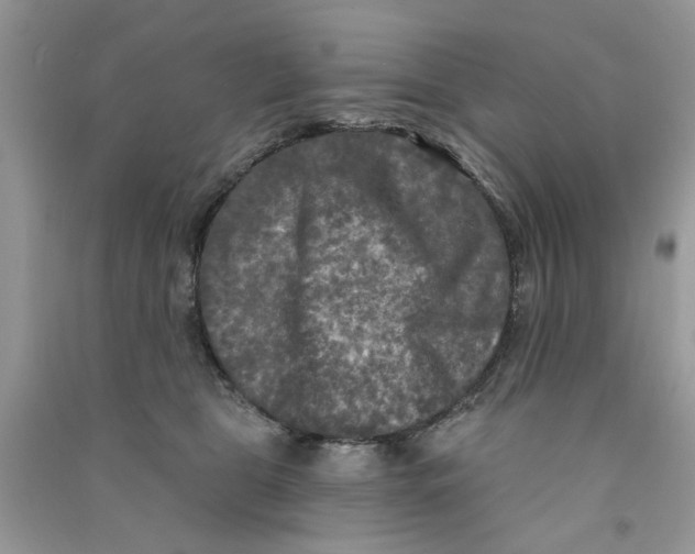 X0000090770469200708172111