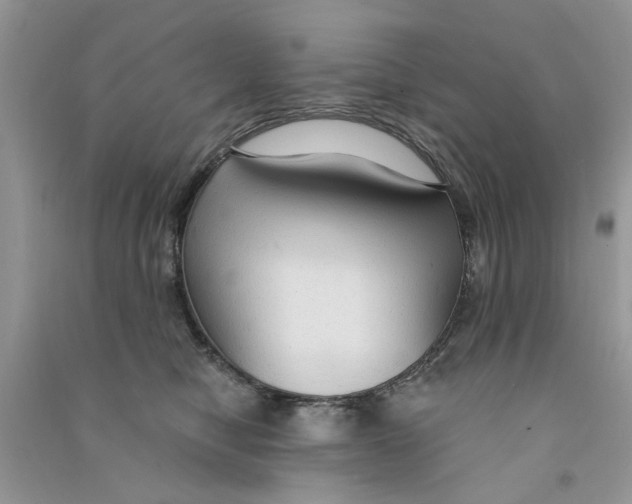 X0000090770470200708172111