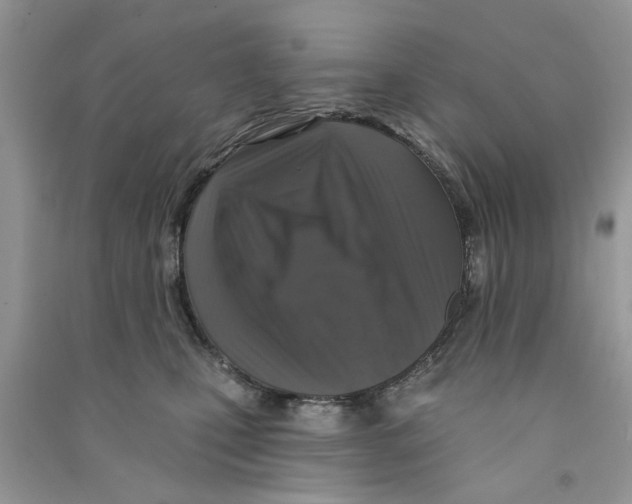 X0000090770471200708172111