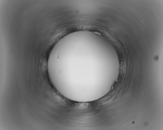 X0000090770474200708172112