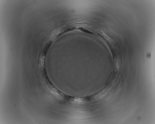 X0000090770475200708172112