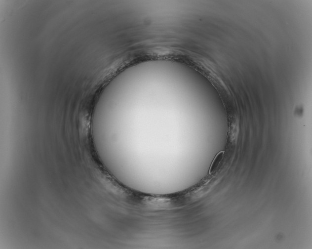 X0000090770476200708172112