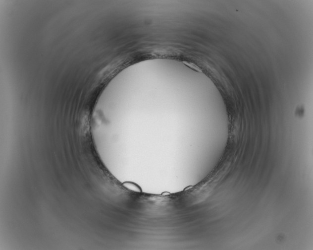 X0000090770478200708172112