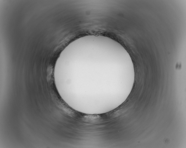 X0000090770480200708172112