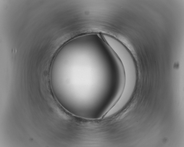 X0000090770481200708172111