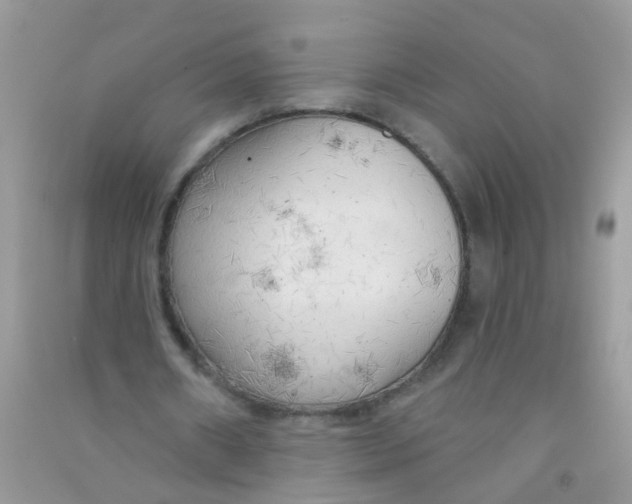 X0000090770482200708172111