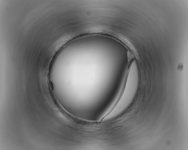 X0000090770485200708172111