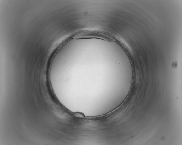 X0000090770486200708172111