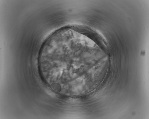 X0000090770487200708172111