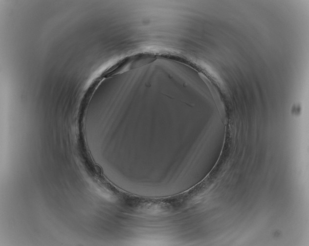 X0000090770488200708172111