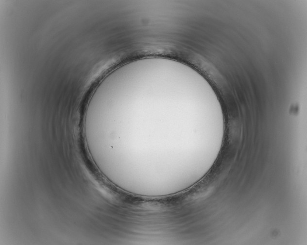 X0000090770490200708172111
