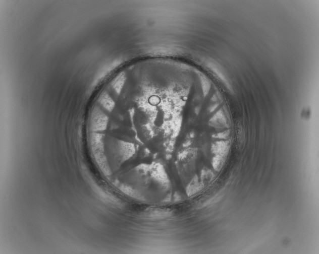 X0000090770491200708172111
