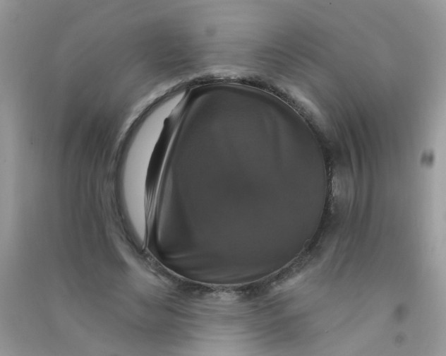 X0000090770492200708172111