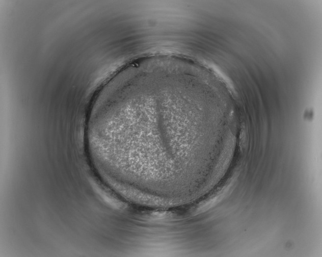 X0000090770493200708172111