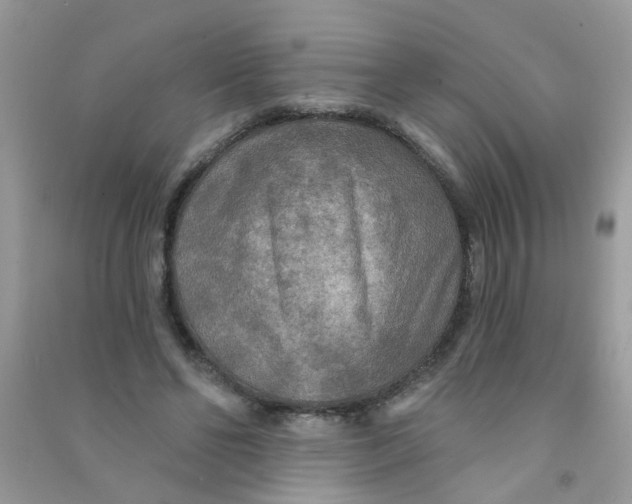 X0000090770494200708172111