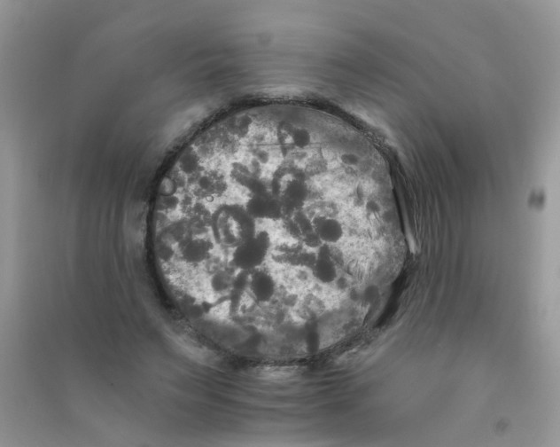 X0000090770495200708172111