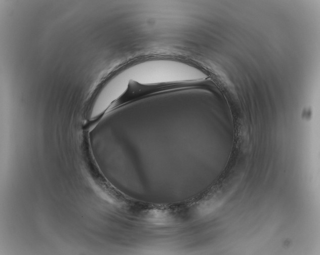 X0000090770496200708172111