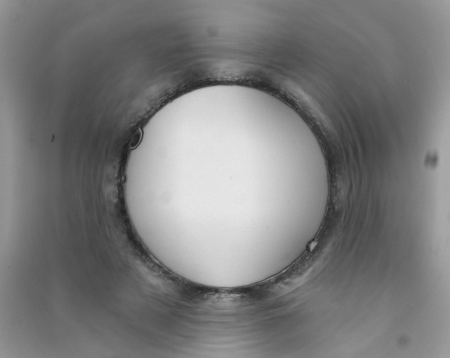 X0000090770497200708172111