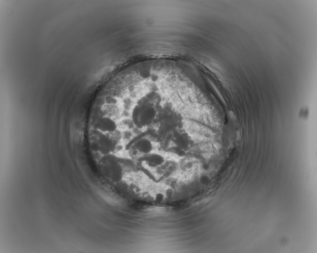 X0000090770499200708172111