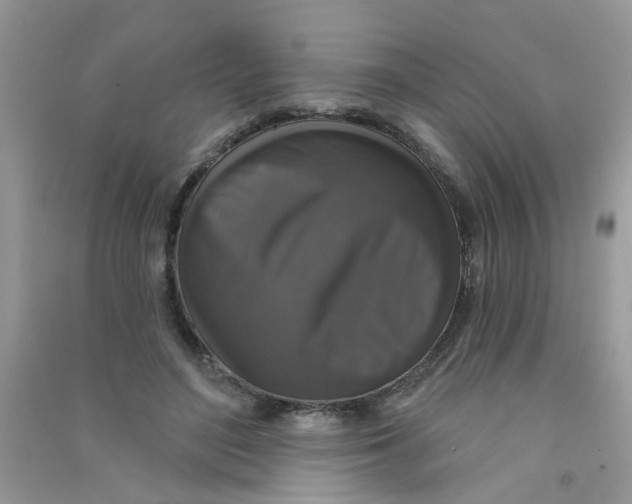 X0000090770500200708172111