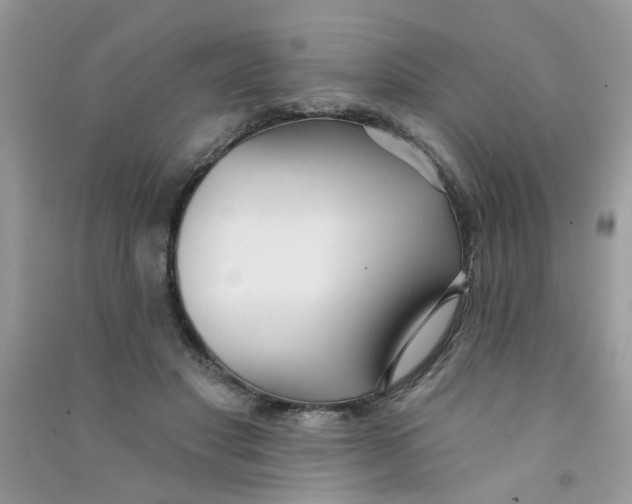 X0000090770501200708172111