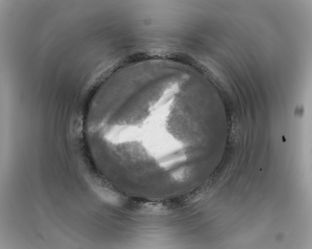 X0000090770502200708172111