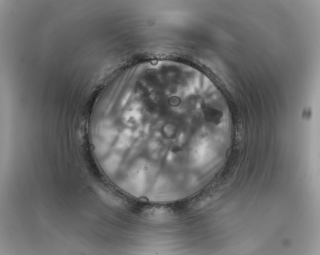 X0000090770503200708172111