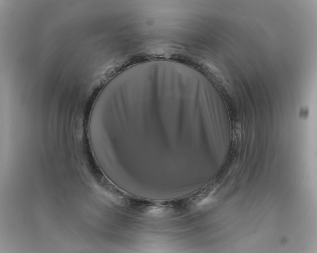 X0000090770504200708172111