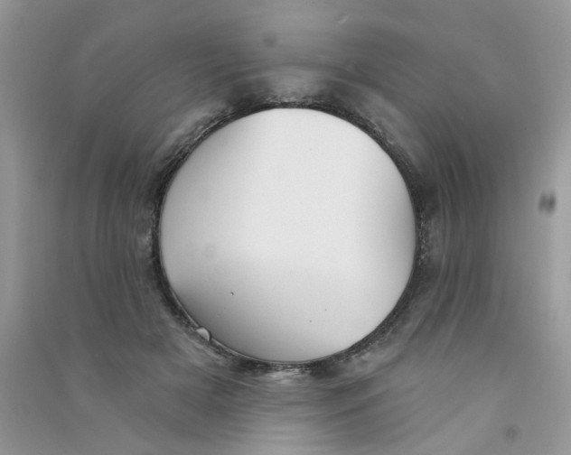X0000090770505200708172111