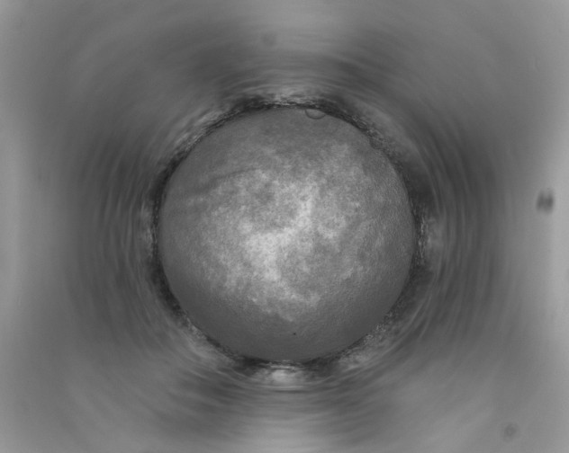 X0000090770506200708172111