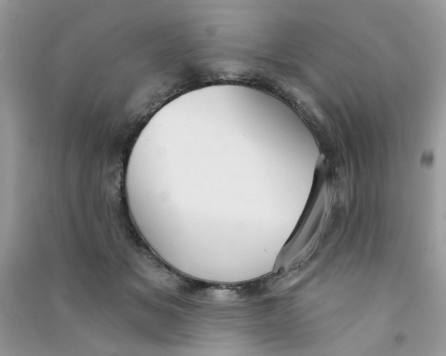 X0000090770509200708172111