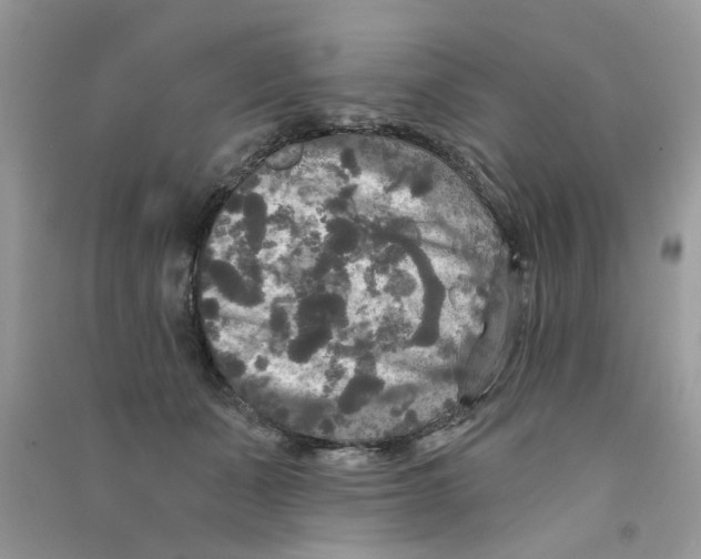 X0000090770511200708172111
