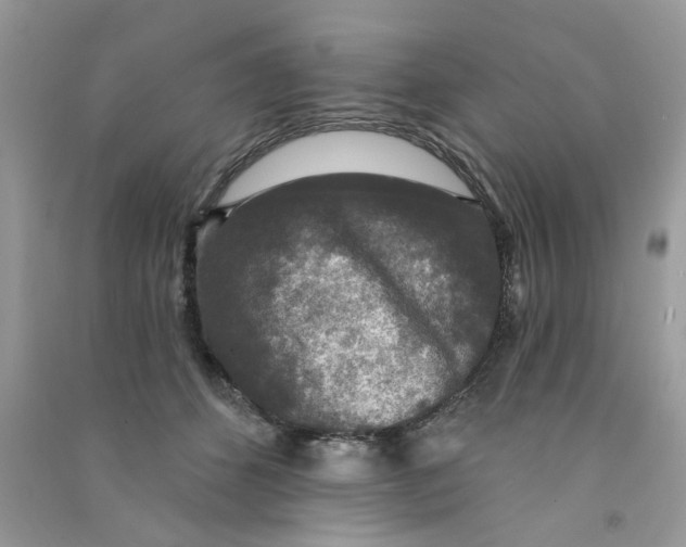 X0000090770512200708172111