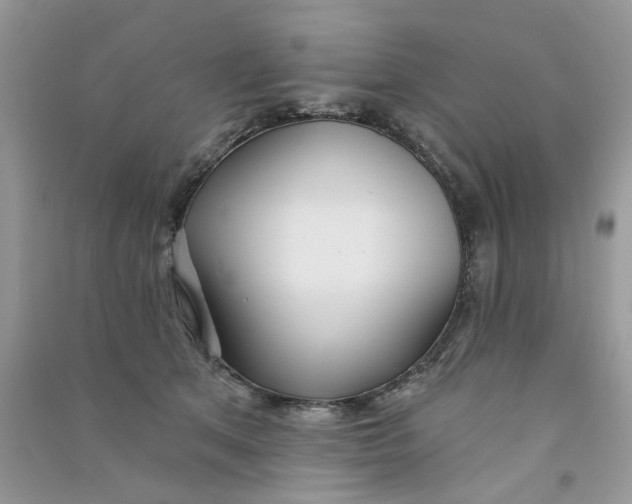 X0000090770513200708172111