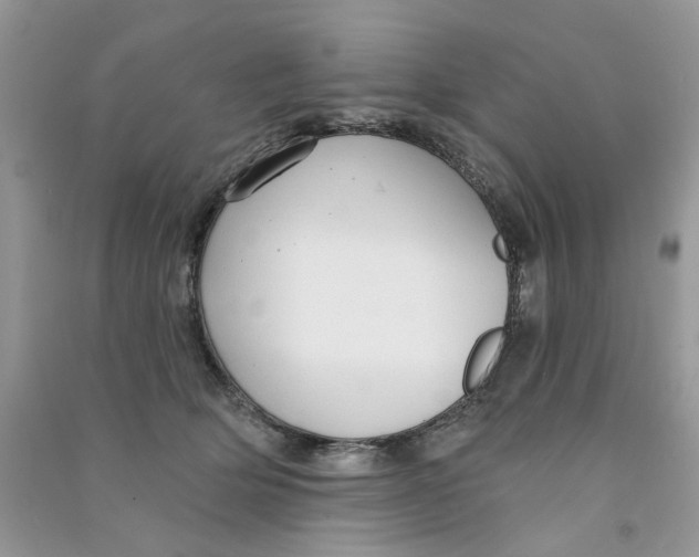 X0000090770514200708172111