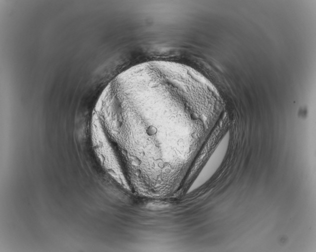 X0000090770515200708172111