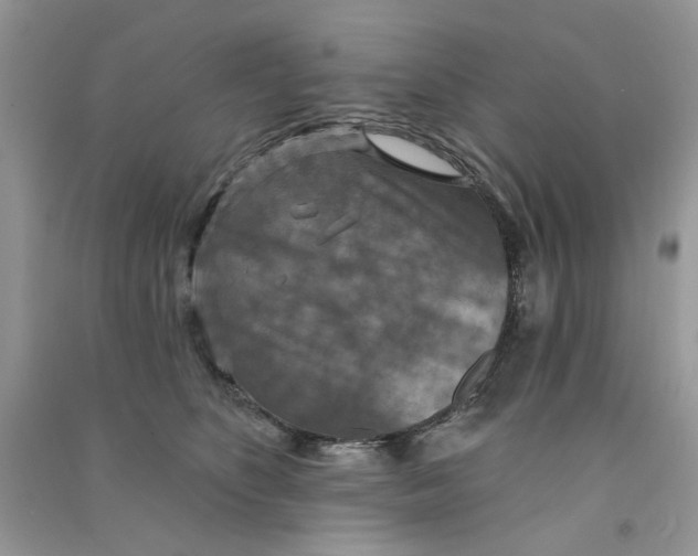 X0000090770516200708172111
