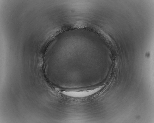 X0000090770517200708172111