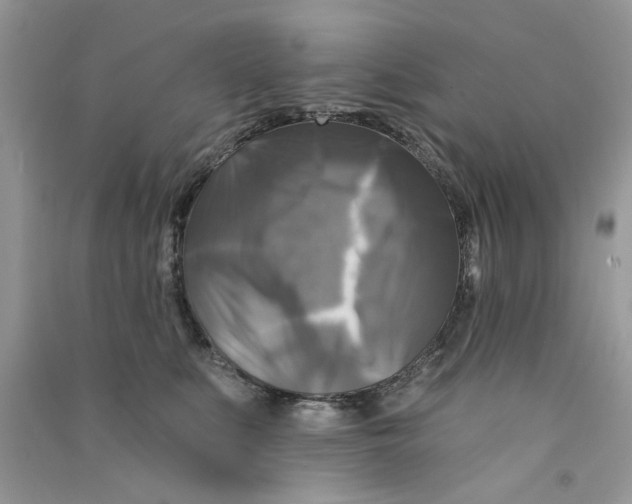 X0000090770519200708172111