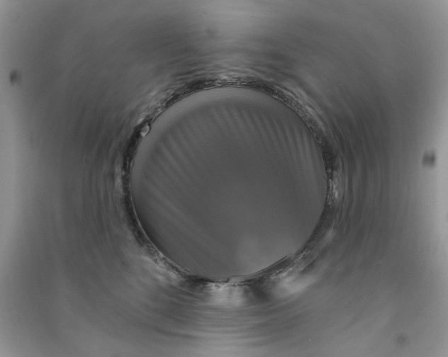 X0000090770520200708172111