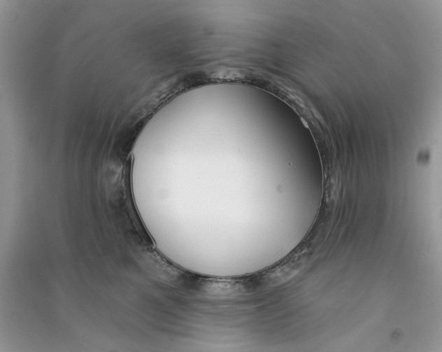X0000090770521200708172111