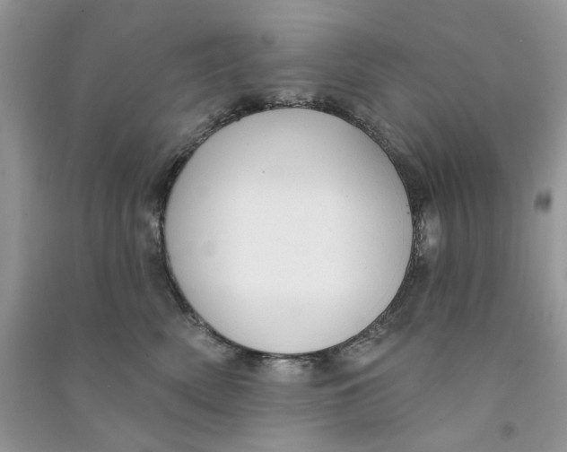 X0000090770522200708172110