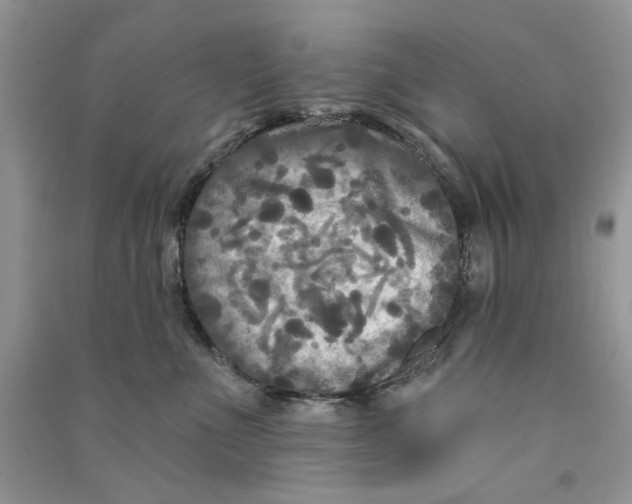 X0000090770523200708172110